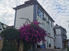 -才村湿地公园