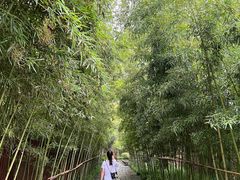 -新荣记(西溪湿地店)