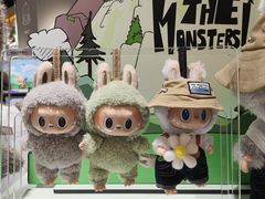 -泡泡玛特POPMART(天环购物中心店)