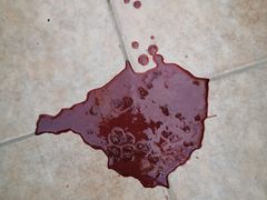 -爱侣宠医·鹦鹉专科·小型哺乳类·异宠专科(灵石路店)