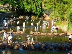 -北仑森林植物园