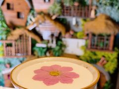 -菌彩云南野生菌火锅(新亚洲店)