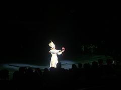 -珠海横琴长隆《卡卡虎奇遇记》