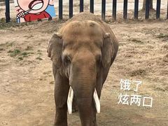 -济南野生动物世界