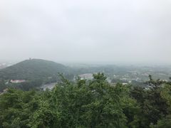 -上海佘山国家森林公园西佘山园