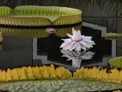 -国家植物园南园