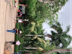 -白沙门生态公园