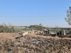 -鄂尔多斯野生动物园