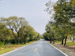 -塞罕坝国家级自然保护区