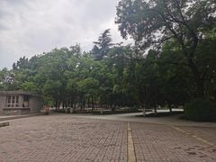 -渭滨公园