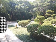 -深圳隐秀山居酒店