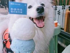 -Dal Cuore 达可芮冰淇淋(陕西北路店)