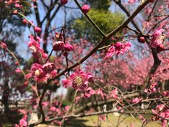 -白塘生态植物园