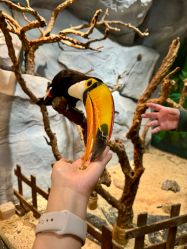 -Zoolung Zoolung动物主题公园(海信广场店)