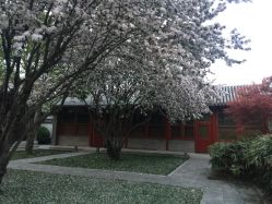 -颐和宾馆宴会厅