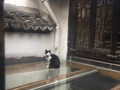 -猫的天空之城概念书店(杭州南宋御街店)