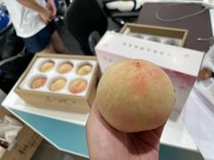 -帝京日语(春熙路旗舰校区)