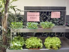 -楚畹园