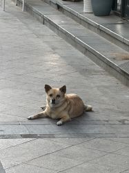 -屈臣氏