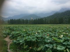 -宜城私房菜.臭鳜鱼(九华新街店)