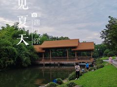 -杭州植物园