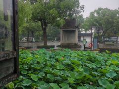 -鲁镇