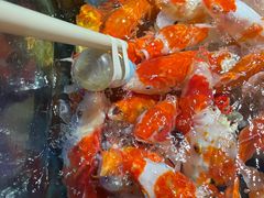 -太平洋海底世界