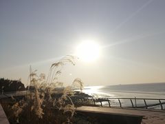 -瀛洲公园