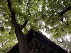 -北京国子监胡同