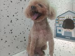 -美联众合动物医院·24h转诊中心