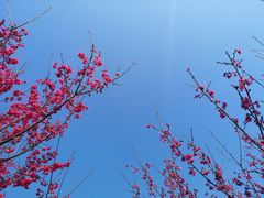 -福清灵石山国家森林公园