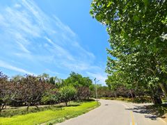 -永定河休闲森林公园