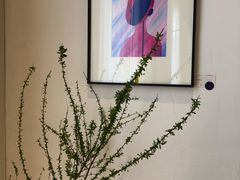 -boundaries籬苑(瑞光创意工厂-贰号院店)