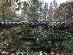 -青城甲(青城山店)