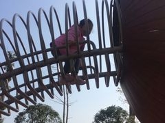 -枫香湖儿童公园