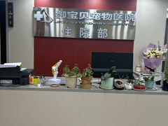 -御宝贝24h宠物医院·转诊中心·CT核磁血透中心(厦门总院)