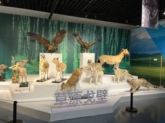 -中国湿地博物馆