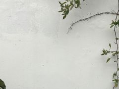 -水月周庄铂尔曼酒店-水月荟中餐厅