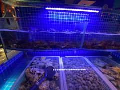 水产区-星伦多自助料理(华润万象城店)