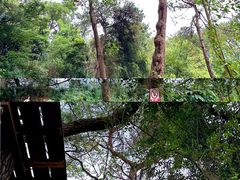 -芦仙山景区-飞越丛林探险乐园