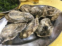 -蚝专家(北滘店)