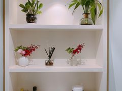 -蝶舍·MAISON PAPILLON