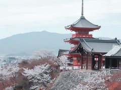 -京都御所