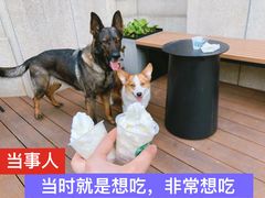 -星巴克(武汉招商公园1872店)