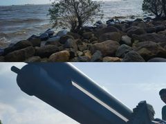 -上海吴淞炮台湾国家湿地公园