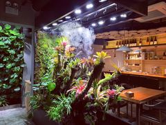-森味薪火烧•烧鸟居酒屋•日本料理(望京店)