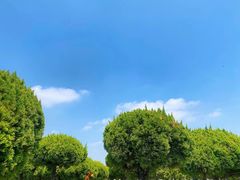 -金港秋名山·双层卡丁车场