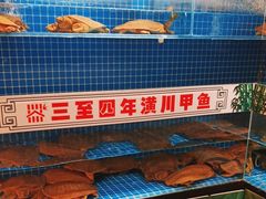 -西郊竹园甲鱼面(老一中店)