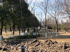 -白塘生态植物园