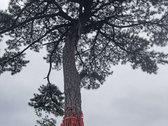 -秦岭终南山世界地质公园翠华山景区